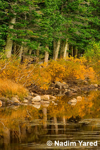Fall at Long Lake, Colorado