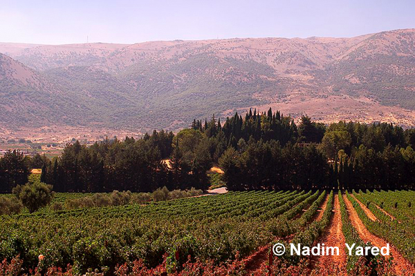 Lebanon