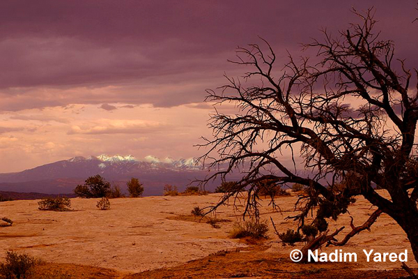 Canyonland NP, Moab, UT