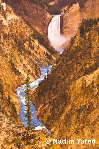 Yellowstone Fall, Yellowstone NP, Wyoming, USA